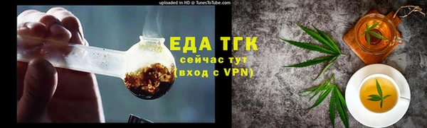 хмурый Алексин