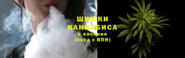 эйфоретик Няндома