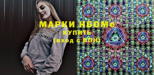 хмурый Алексин