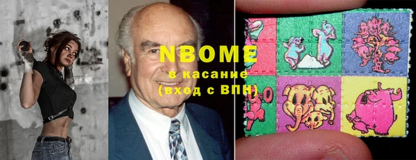 хмурый Алексин