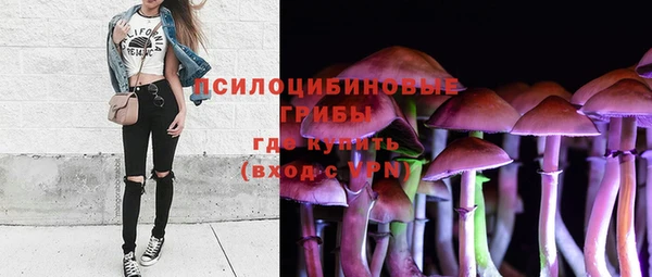 СК Бикин