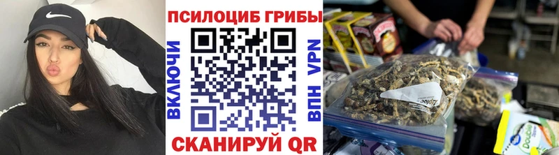 продажа наркотиков  Могоча  Псилоцибиновые грибы Psilocybe 